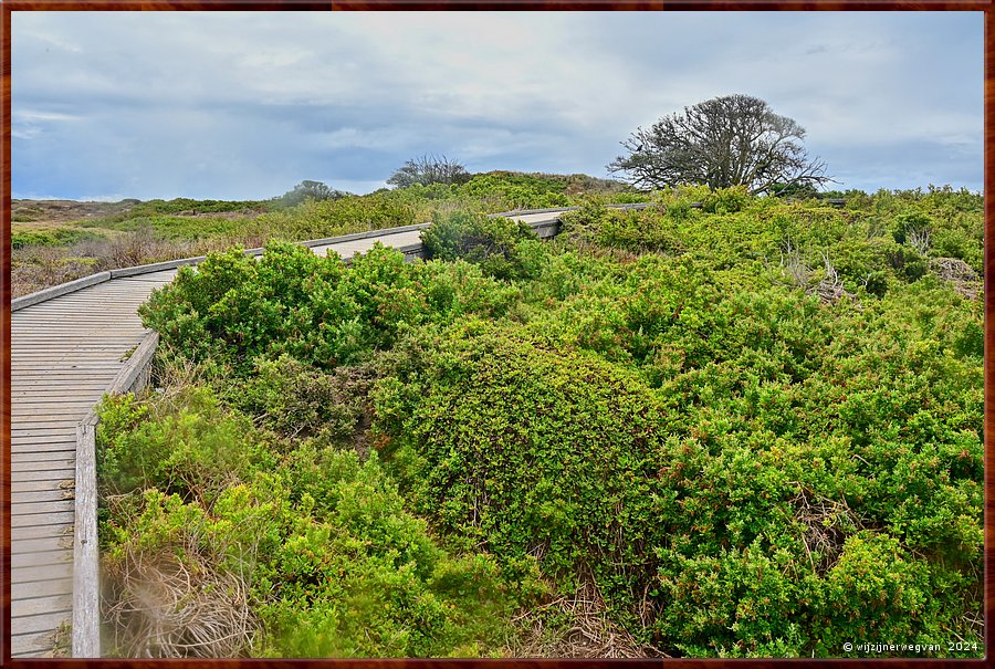 

Port Fairy
Griffiths Island
Vlonderpad  -  24/40