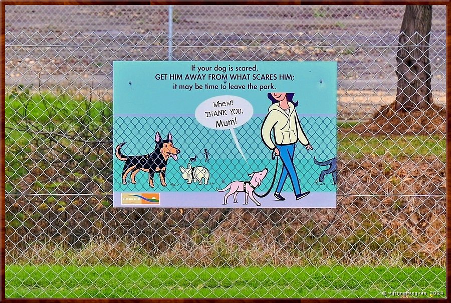 

Portland
Dog Park  -  6/33