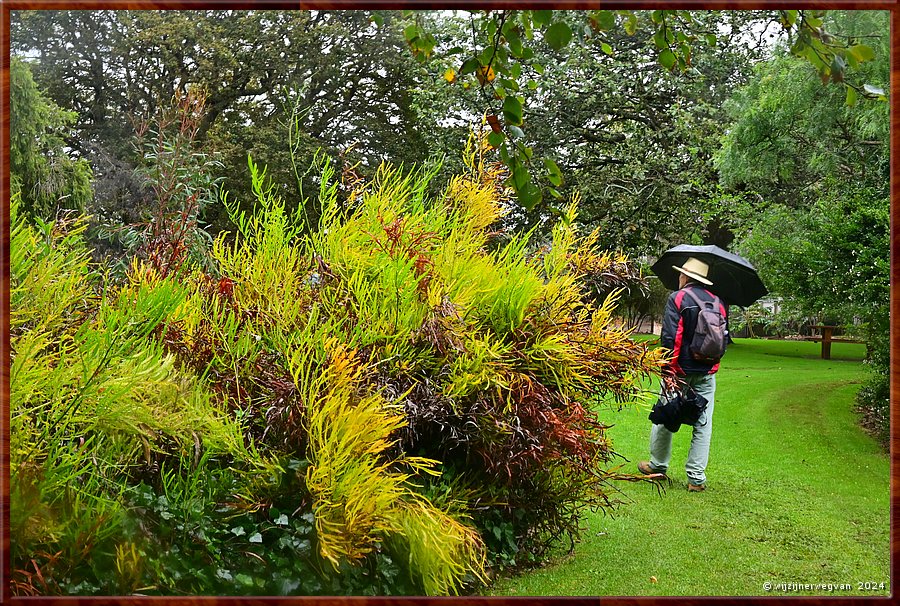 

Portland
Portland Botanical Gardens

♪  And I wonder, still I wonder, who'll stop the rain?  ♪
(Creedence Clearwater Revival)  -  26/33