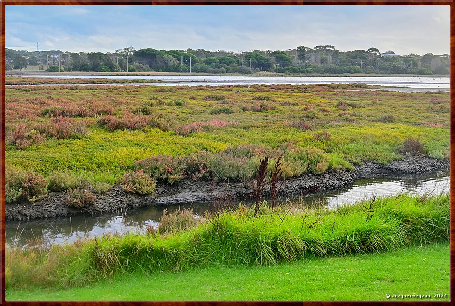 

Portland
Fawthrop Lagoon Park
Zeldzame zoutmoerasplanten, die op veel plaatsen verloren gaan, tiert welig in deze lagune  -  31/41