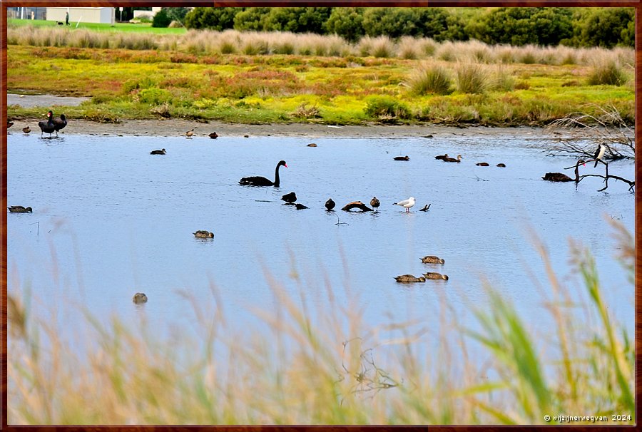 

Portland
Fawthrop Lagoon Park
156 vogelsoorten zijn hier waargenomen  -  36/41