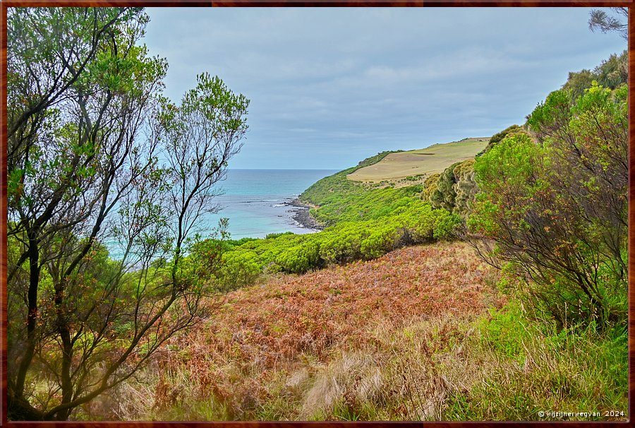 

Cape Bridgewater
Seal Colony Walk  -  8/58