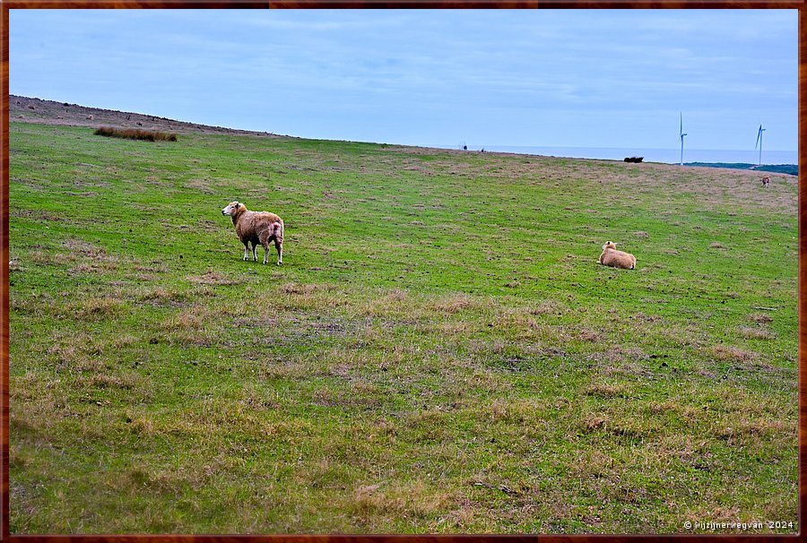 

Cape Bridgewater
Seal Colony Walk  -  15/58