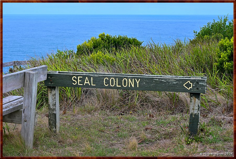 

Cape Bridgewater
Seal Colony Walk  -  18/58