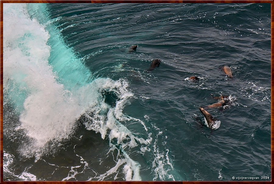 

Cape Bridgewater
Seal Colony Walk  -  23/58