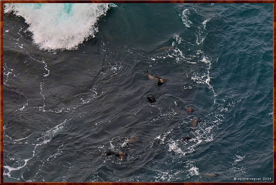 

Cape Bridgewater
Seal Colony Walk  -  24/58