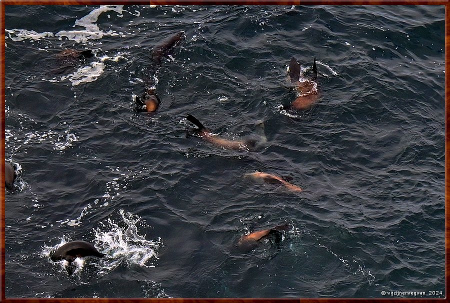 

Cape Bridgewater
Seal Colony Walk  -  25/58