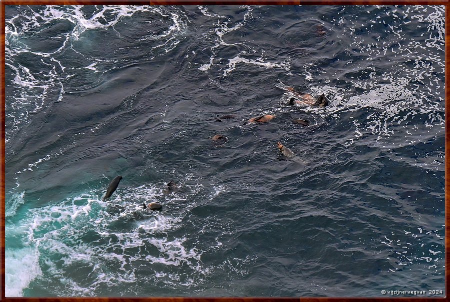 

Cape Bridgewater
Seal Colony Walk  -  26/58