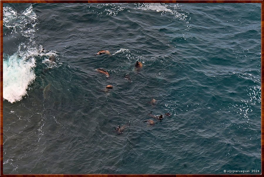 

Cape Bridgewater
Seal Colony Walk  -  28/58