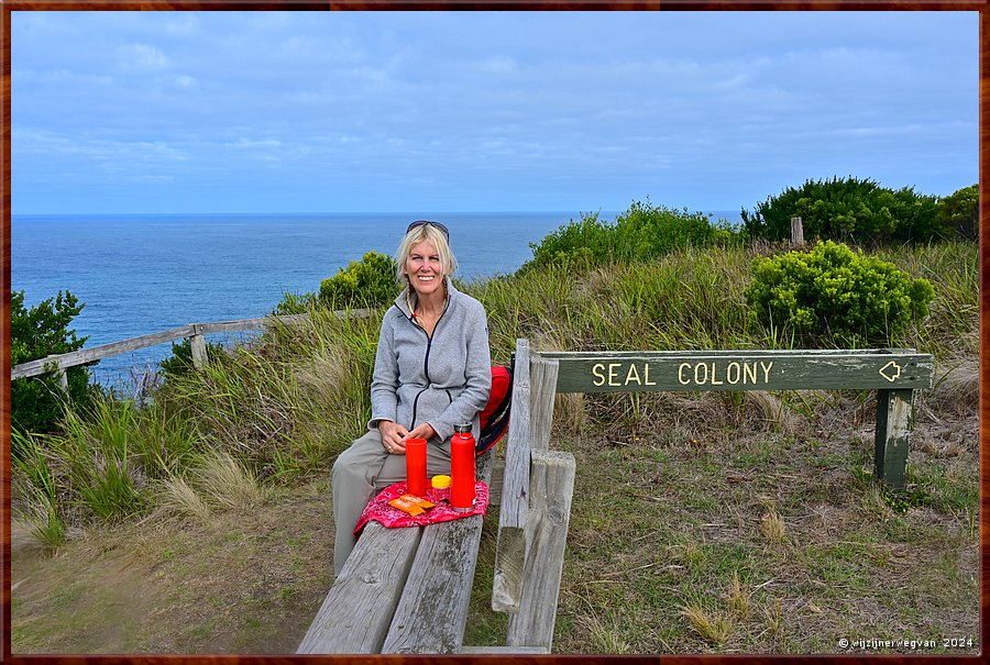 

Cape Bridgewater
Seal Colony Walk  -  31/58