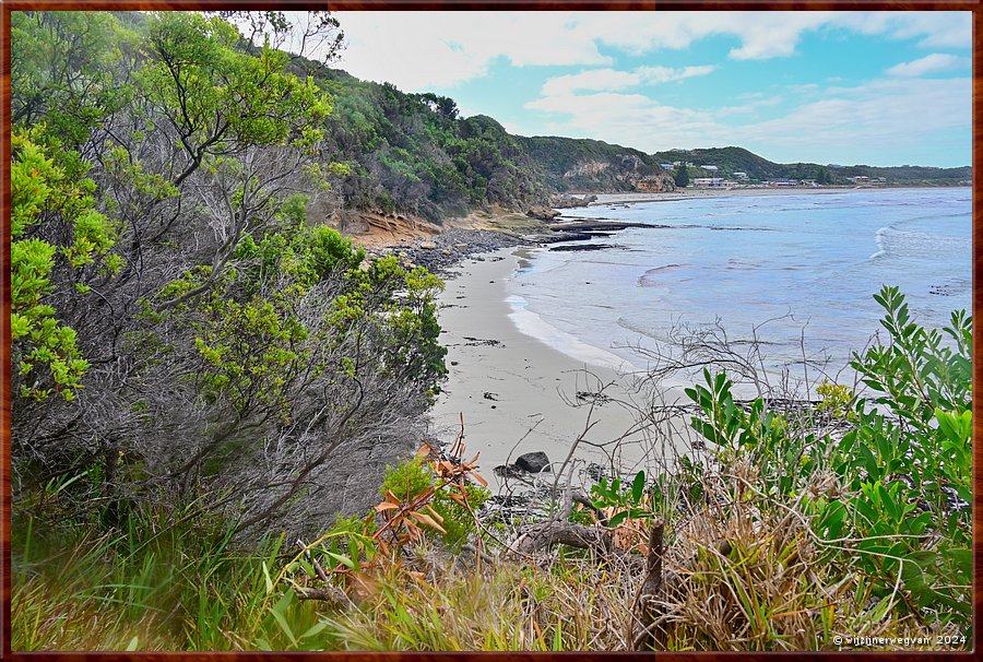 

Cape Bridgewater
Seal Colony Walk  -  42/58