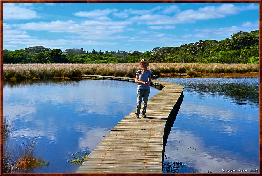 

Nelson
Livingstone Island Walk
Vlonderpad over het zoutmoeras  -  6/25