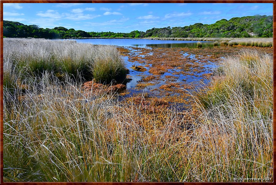 

Nelson
Livingstone Island Walk
Zoutmoeras  -  10/25