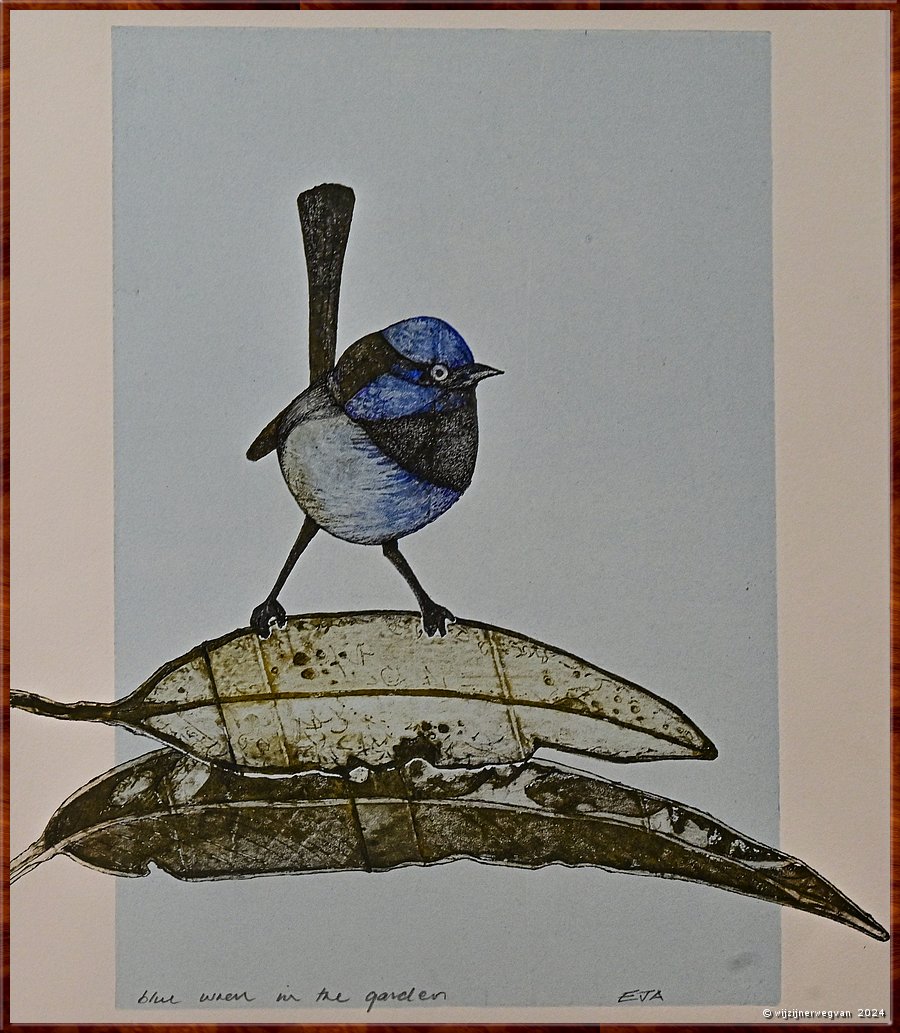 

Mount Gambier 
The Riddoch Arts & Cultural Centre
Blue Wren in the garden, Libby Altschwager (2024)  -  7/25