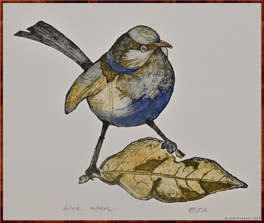 

Mount Gambier 
The Riddoch Arts & Cultural Centre
Blue Wren, Libby Altschwager (2024)  -  8/25