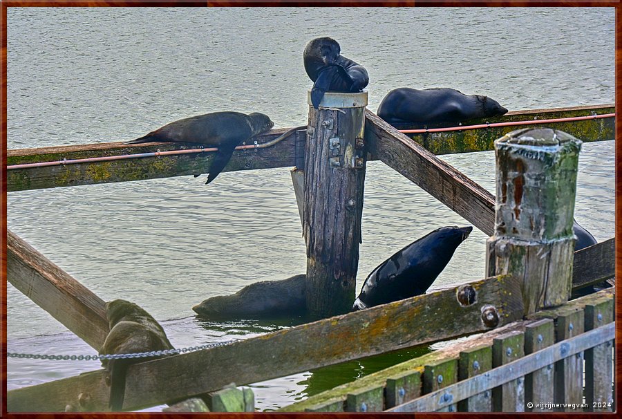 

Goolwa
Goolwa Barrage
En zij hebben wel interesse in die vispassages ...  -  15/41