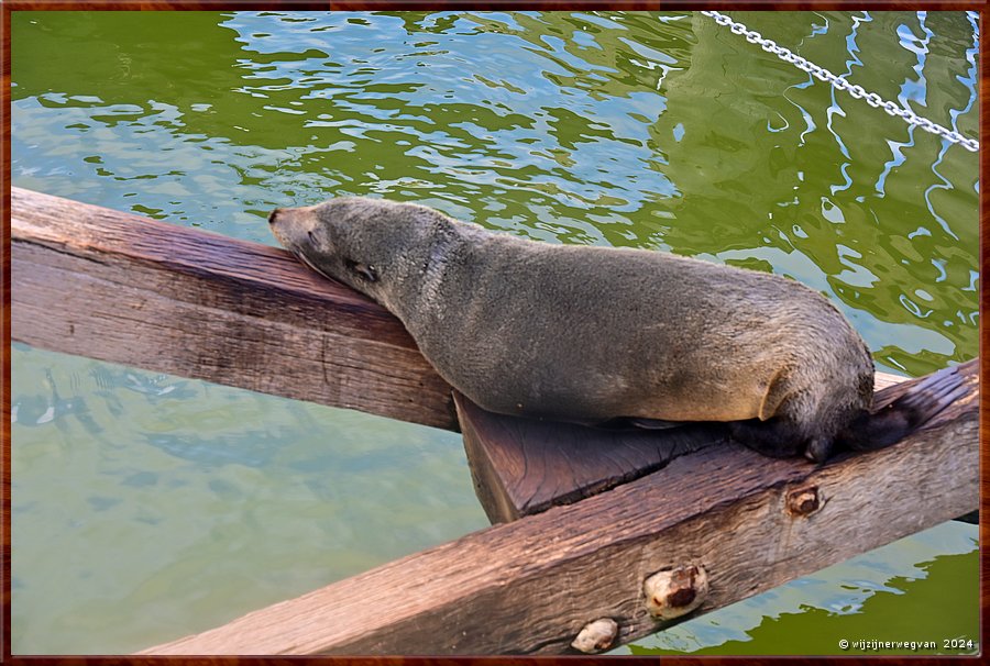 

Goolwa
Goolwa Barrage
Misschien nu even niet ...  -  16/41