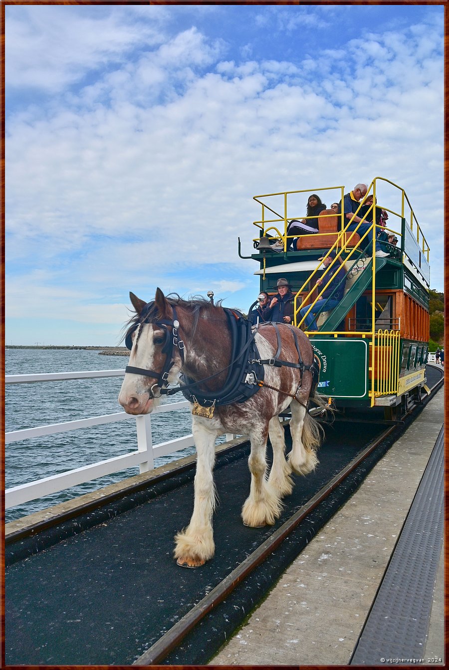 

Victor Harbor
Granite Island, Kaiki Trail
De paardentram maakt op rotatiebasis gebruik van een span Clydesdale paarden  -  17/44