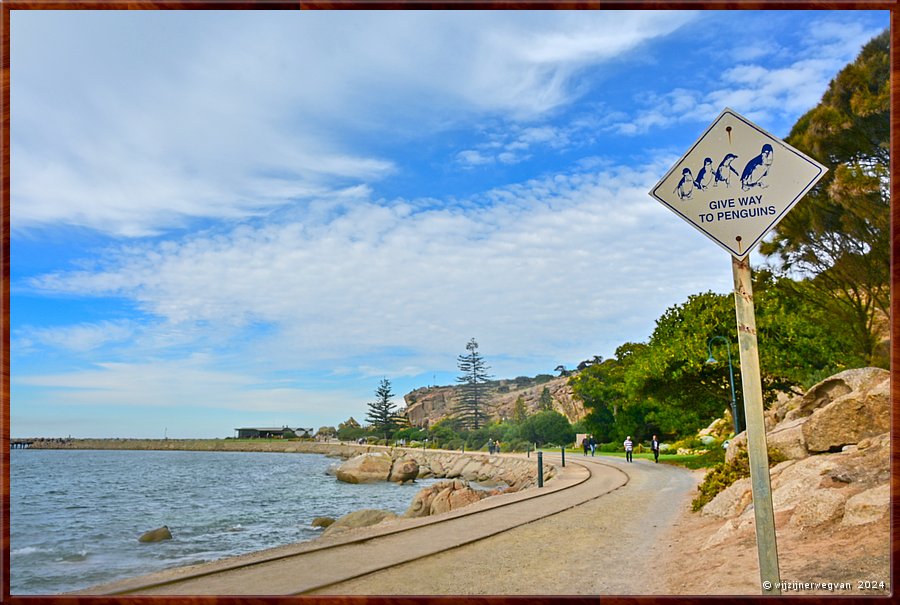 

Victor Harbor
Granite Island, Kaiki Trail
Pinguns hebben voorrang!  -  18/44