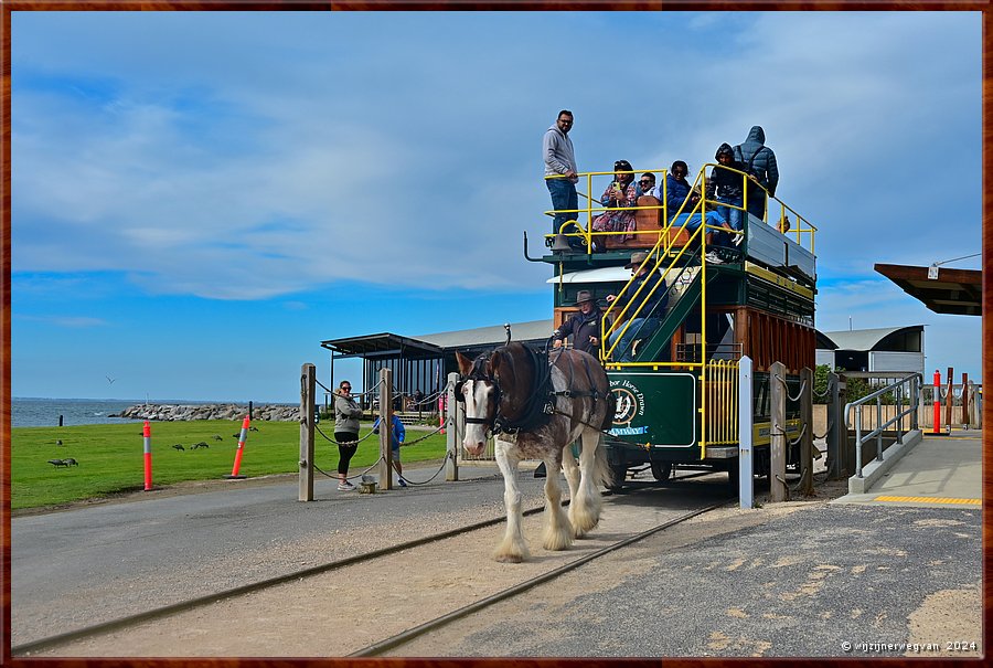 

Victor Harbor
Granite Island, Kaiki Trail
Paardentram
Een typische werkdag voor de paarden bestaat uit drie  vier rittten gedurende drie uur  -  25/44