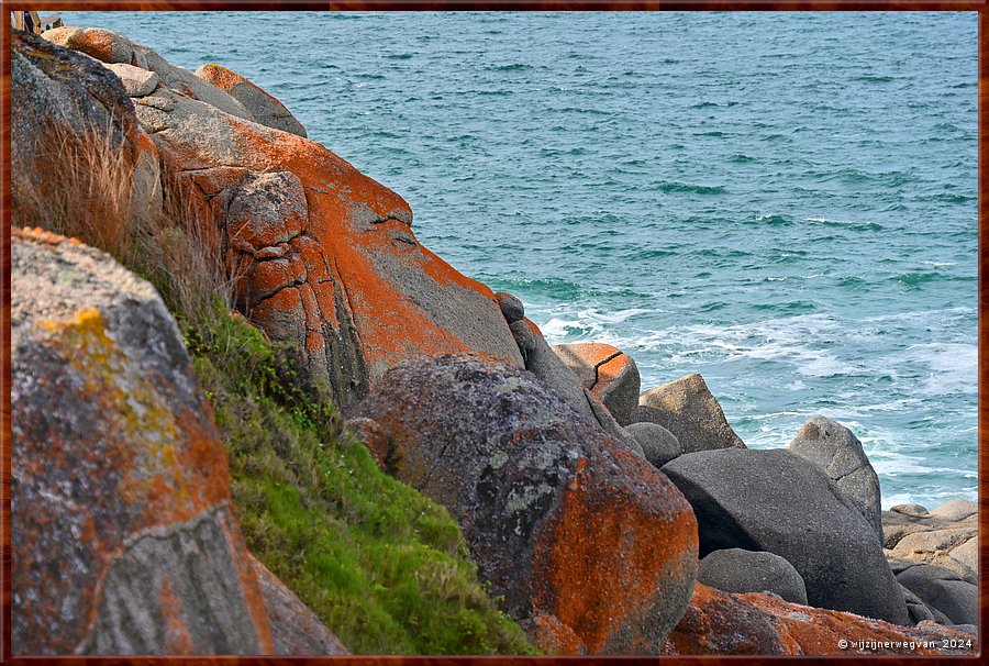 

Victor Harbor
Granite Island, Kaiki Trail
De mossen kunnen maanden zonder water. 
Als het regent ontstaan de levendige oranje en groene kleuren.  -  32/44