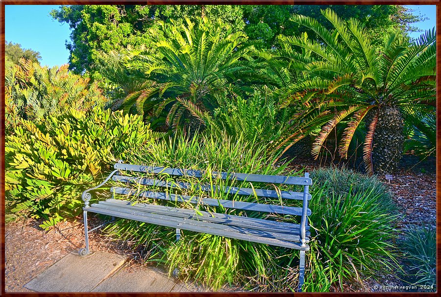 

Adelaide
Botanic Garden
Over twee jaar zijn ze het hele bankje kwijt!  -  31/50