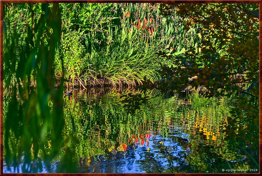 

Adelaide
Botanic Garden
Main Lake  -  32/50