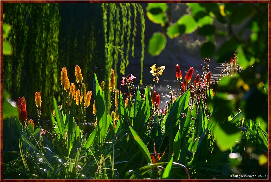 

Adelaide
Botanic Garden
Vuurpijlen (kniphofia) sieren de oever van het Main Lake  -  33/50