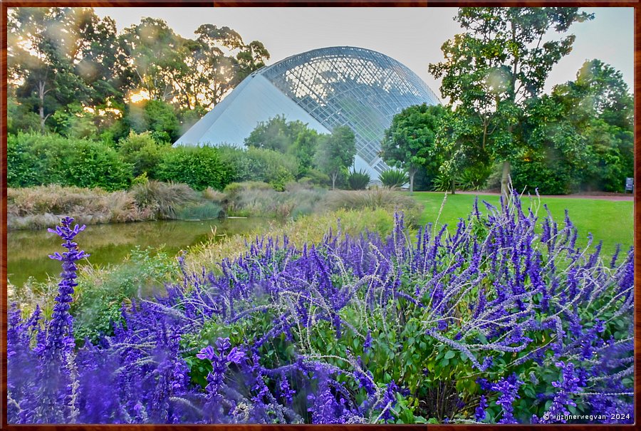 

Adelaide
Botanic Garden
Bicentennial Conservatory (1989)
Architect Guy Maron won meerdere prijzen voor het ontwerp  -  41/50