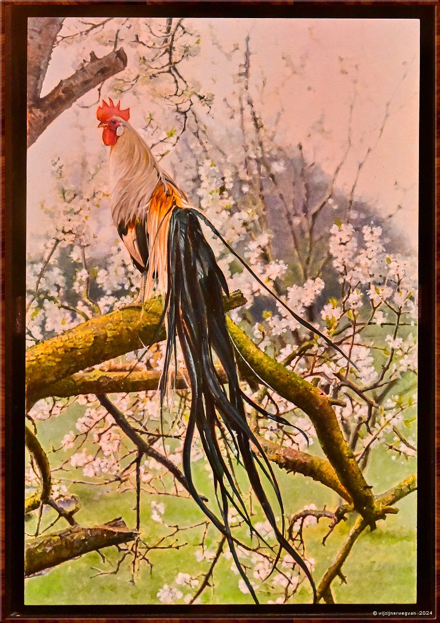 

Adelaide
Art Gallery of South Australia
Onagadori on a cherry tree, Michael Zavros (20233)  -  56/90