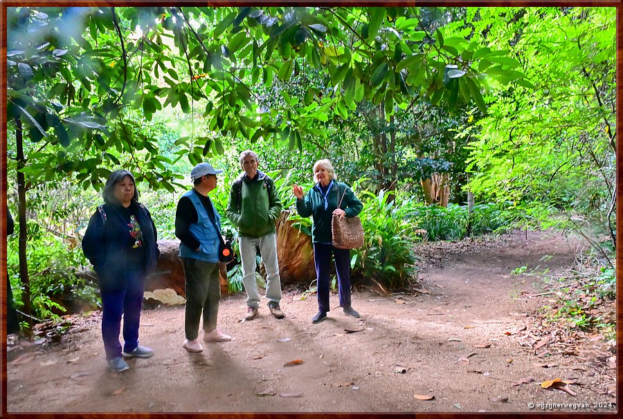 

Adelaide
Botanic Garden
Gids Judy vertelt.  
Ze is n van de duizend vrijwilligers van de botanische tuin..  -  11/71