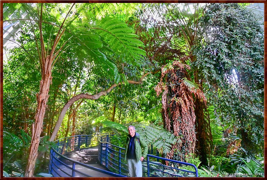 

Adelaide
Botanic Garden
Bicentennial Conservatory  -  21/71