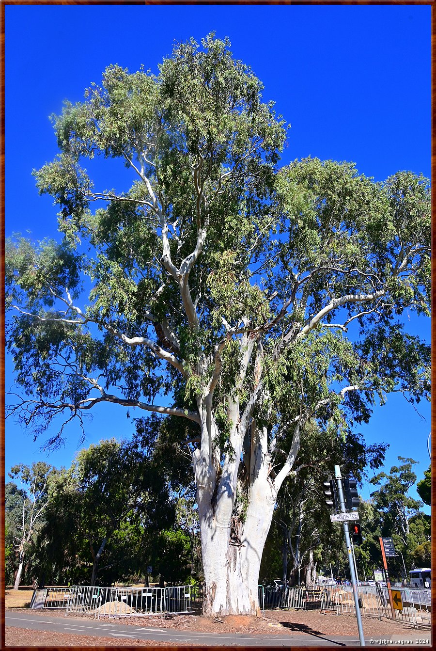 

Adelaide
South Terrace  -  5/25