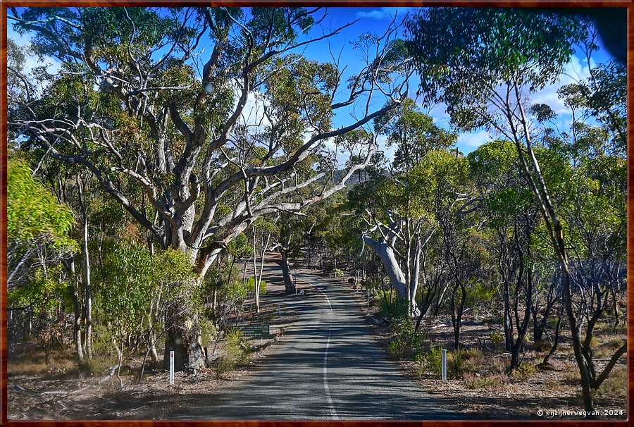 

Mount Remarkable National Park
Alligator Gorge Road  -  14/25