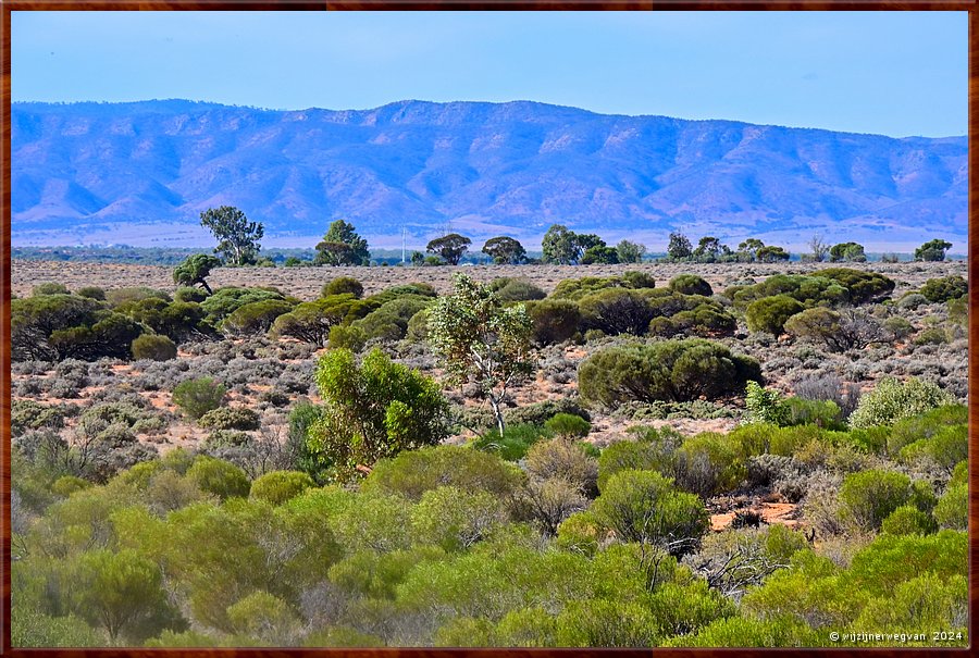 

Port Augusta
The Australian Arid Lands Botanic Garden
Garden Lookout
Zicht op Flinders Ranges  -  13/38