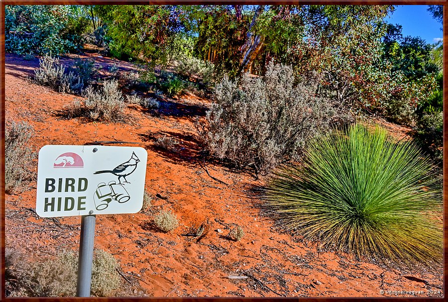 

Port Augusta
The Australian Arid Lands Botanic Garden
Saltbush Bird Hide, vogelschuilplaats  -  20/38