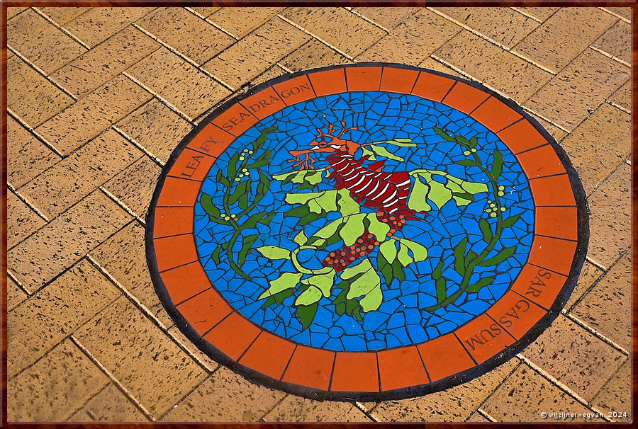 

Tumby Bay, Tumby Terrace
Leafy to Sleepy, mosaic trail
Male Leafy Seadragon
Het op drijvend zeewier gelijkend zeedraakje 
kan van kleur veranderen om in zijn omgeving op te gaan  -  15/42