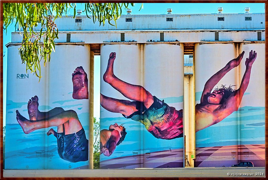 

Tumby Bay
'Two children jetty jumping, Martin Ron (2018)
Gewoonlijk in Silo Art staan de beelden verticaal vanwege 
de gebogen oppervlakken en openingen tussen de afzonderlijke silos. 
Ron schilderde zijn beeld horizontaal, een artistiek uitdagende onderneming.  -  17/42