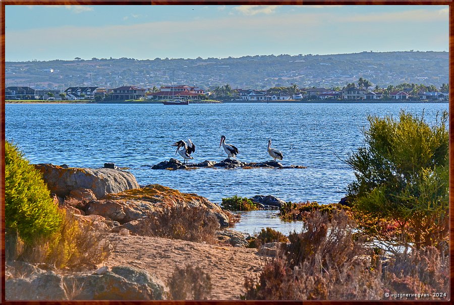 

Port Lincoln
Billy Light's Point
Pelikanentrio
En toen zei ik: Ok jongens, ik doe het nog n keer voor ...  -  31/42