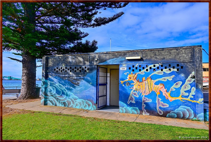 

Port Lincoln
Parnkalla Trail
'Leafy sea dragon'
Ook hier siert het zeedraakje de wanden van een sanitairgebouwjte  -  20/37