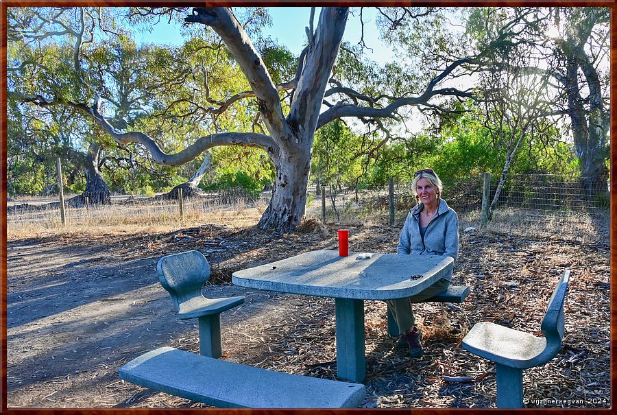 

Flinders Highway
Rest area
Koffiepauze  -  18/23