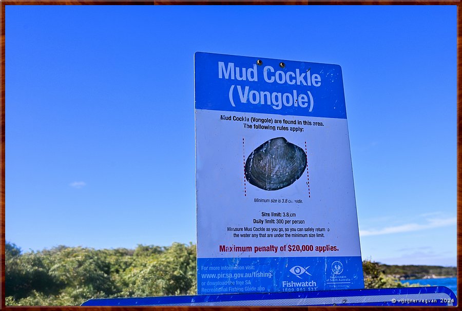 

Coffin Bay
Modder kokkels 
Daglimiet van 300 stuks per persoon met minimum grootte 3,8 cm.
Kleiner is terugzetten! Boetes tot 20.000 Aud  -  21/34