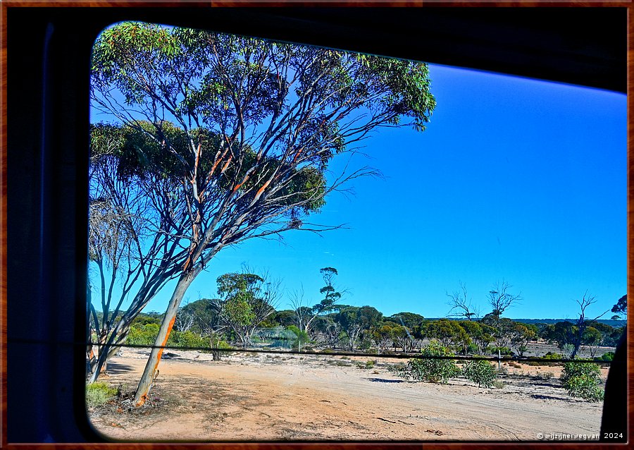 

Nullarbor Plain
Nundroo
Kidnippy Rest Area
Ons uitzicht, Belle Vue  -  29/31