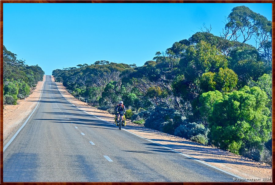 

Nullarbor Pain 
Eyre Highway
Eenzame fietser  -  9/41