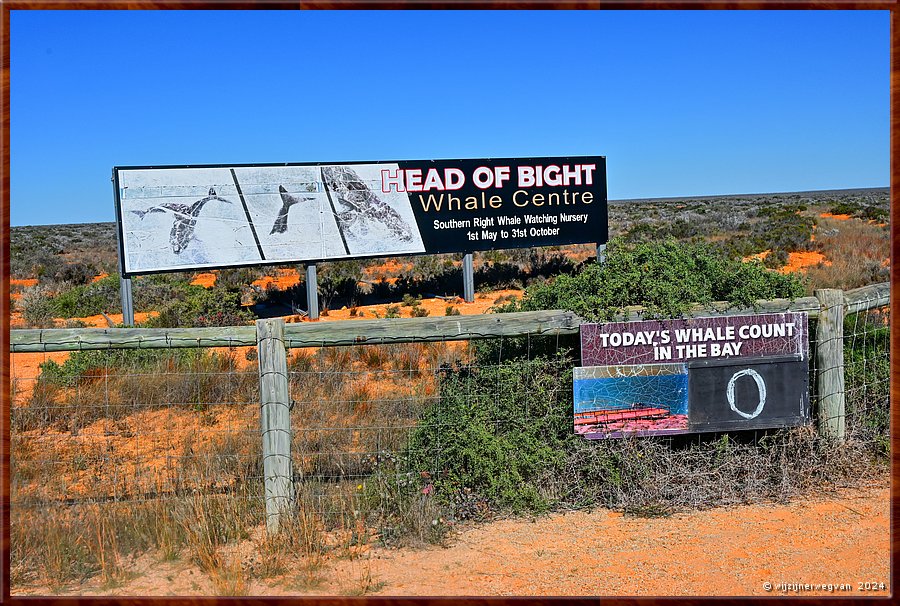 

Nullarbor Pain 
Head of Bight
Today's whale count in the bay: 0  -  12/41