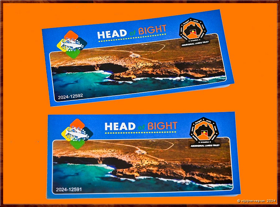 

Nullarbor Pain 
Head of Bight
Head of Bight tickets  -  15/41