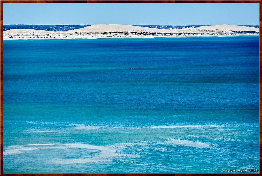 

Nullarbor Pain 
Head of Bight
�There, I see a whale!'  -  24/41