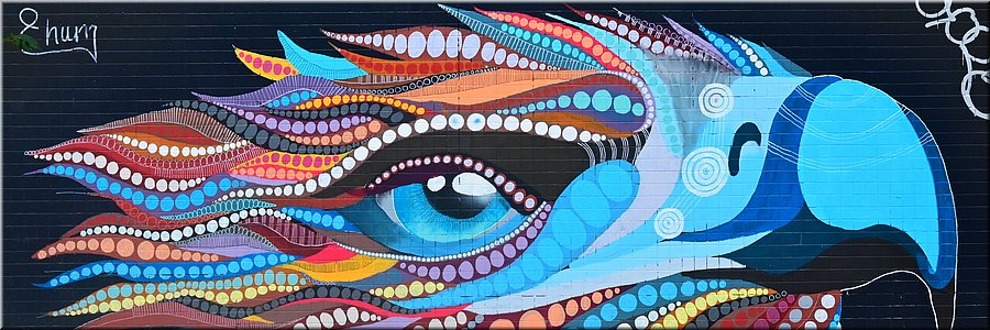 15 januari 2024 - Canberra, Mort Street - Street art