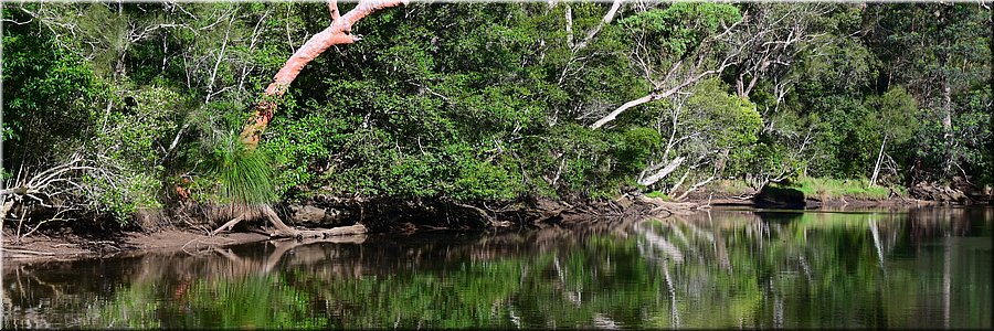 20 januari 2024 - Sydney, St Ives - Middle Harbour Creek