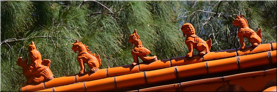 04-03-2024 - Wollongong - Dakruiters